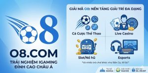 O8 là gì